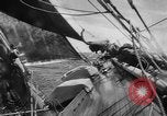Immagine di Yachts Canale in inglese, 1951, secondo 53 filmato di repertorio 65675070977