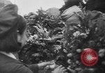Immagine di Le truppe sovietiche Corea, 1949, secondo 21 filmato di repertorio 65675070981