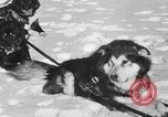 Standbild Motorschlitten Manitoba Kanada, 1949, aus Sekunde 28 historischem Filmmaterial Videoclip 65675070982