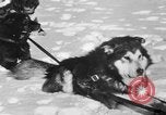 Standbild Motorschlitten Manitoba Kanada, 1949, aus Sekunde 29 historischem Filmmaterial Videoclip 65675070982