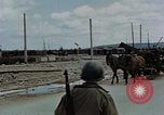 Image Des prisonniers allemands Autriche, 1945, de la seconde 21 séquences d'archives historiques vidéo 65675070990