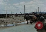 Image Des prisonniers allemands Autriche, 1945, de la seconde 22 séquences d'archives historiques vidéo 65675070990