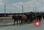 Image Des prisonniers allemands Autriche, 1945, de la seconde 24 séquences d'archives historiques vidéo 65675070990