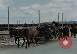 Image Des prisonniers allemands Autriche, 1945, de la seconde 25 séquences d'archives historiques vidéo 65675070990