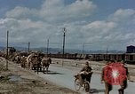 Image Des prisonniers allemands Autriche, 1945, de la seconde 44 séquences d'archives historiques vidéo 65675070990