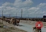 Image Des prisonniers allemands Autriche, 1945, de la seconde 46 séquences d'archives historiques vidéo 65675070990