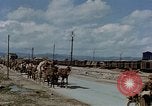 Image Des prisonniers allemands Autriche, 1945, de la seconde 47 séquences d'archives historiques vidéo 65675070990