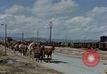Image Des prisonniers allemands Autriche, 1945, de la seconde 48 séquences d'archives historiques vidéo 65675070990
