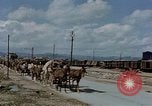 Image Des prisonniers allemands Autriche, 1945, de la seconde 49 séquences d'archives historiques vidéo 65675070990