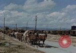 Image Des prisonniers allemands Autriche, 1945, de la seconde 50 séquences d'archives historiques vidéo 65675070990