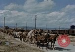Image Des prisonniers allemands Autriche, 1945, de la seconde 52 séquences d'archives historiques vidéo 65675070990