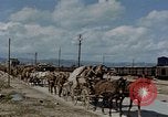 Image Des prisonniers allemands Autriche, 1945, de la seconde 53 séquences d'archives historiques vidéo 65675070990