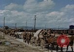 Image Des prisonniers allemands Autriche, 1945, de la seconde 54 séquences d'archives historiques vidéo 65675070990