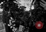 Image of anniversary of D-Day Normandy France, 1945, second 15 stock footage video 65675070994