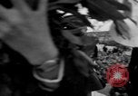 Image of anniversary of D-Day Normandy France, 1945, second 16 stock footage video 65675070994