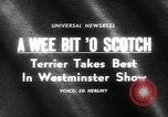 Standbild Westminster Kennel Club dog show New York United States USA, 1965, aus Sekunde 3 historischem Filmmaterial Videoclip 65675070999