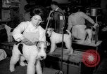 Standbild Westminster Kennel Club dog show New York United States USA, 1965, aus Sekunde 6 historischem Filmmaterial Videoclip 65675070999
