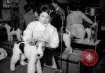 Standbild Westminster Kennel Club dog show New York United States USA, 1965, aus Sekunde 7 historischem Filmmaterial Videoclip 65675070999