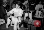 Standbild Westminster Kennel Club dog show New York United States USA, 1965, aus Sekunde 10 historischem Filmmaterial Videoclip 65675070999