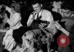 Standbild Westminster Kennel Club dog show New York United States USA, 1965, aus Sekunde 19 historischem Filmmaterial Videoclip 65675070999