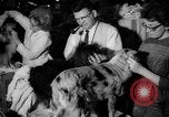 Standbild Westminster Kennel Club dog show New York United States USA, 1965, aus Sekunde 20 historischem Filmmaterial Videoclip 65675070999