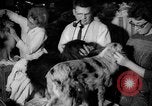 Standbild Westminster Kennel Club dog show New York United States USA, 1965, aus Sekunde 21 historischem Filmmaterial Videoclip 65675070999