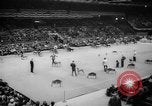 Standbild Westminster Kennel Club dog show New York United States USA, 1965, aus Sekunde 49 historischem Filmmaterial Videoclip 65675070999