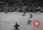 Standbild Westminster Kennel Club dog show New York United States USA, 1965, aus Sekunde 55 historischem Filmmaterial Videoclip 65675070999