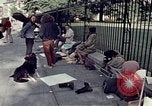 Standbild Anti-kriegs-Demonstration Washington DC USA, 1972, aus Sekunde 6 historischem Filmmaterial Videoclip 65675071005