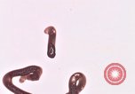 Image of air strikes on road intersection Vietnam, 1967, second 59 stock footage video 65675071012