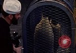 Image of penguins Antarctic Ocean, 1947, second 3 stock footage video 65675071021