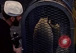 Image of penguins Antarctic Ocean, 1947, second 4 stock footage video 65675071021