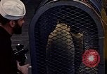 Image of penguins Antarctic Ocean, 1947, second 5 stock footage video 65675071021