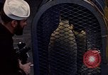 Image of penguins Antarctic Ocean, 1947, second 6 stock footage video 65675071021