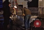 Image of penguins Antarctic Ocean, 1947, second 12 stock footage video 65675071021