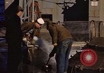 Image of penguins Antarctic Ocean, 1947, second 13 stock footage video 65675071021