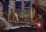 Image of penguins Antarctic Ocean, 1947, second 19 stock footage video 65675071021