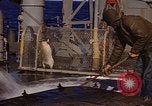 Image of penguins Antarctic Ocean, 1947, second 21 stock footage video 65675071021