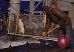 Image of penguins Antarctic Ocean, 1947, second 23 stock footage video 65675071021