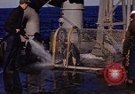 Image of penguins Antarctic Ocean, 1947, second 29 stock footage video 65675071021