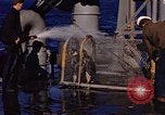 Image of penguins Antarctic Ocean, 1947, second 32 stock footage video 65675071021