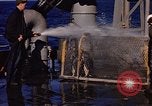 Image of penguins Antarctic Ocean, 1947, second 33 stock footage video 65675071021