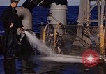 Image of penguins Antarctic Ocean, 1947, second 35 stock footage video 65675071021
