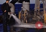 Image of penguins Antarctic Ocean, 1947, second 36 stock footage video 65675071021