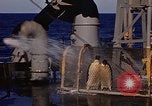 Image of penguins Antarctic Ocean, 1947, second 40 stock footage video 65675071021