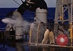 Image of penguins Antarctic Ocean, 1947, second 41 stock footage video 65675071021