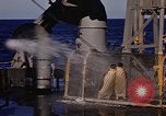 Image of penguins Antarctic Ocean, 1947, second 42 stock footage video 65675071021