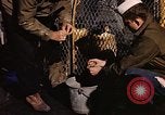 Image of penguins Antarctic Ocean, 1947, second 51 stock footage video 65675071021