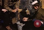 Image of penguins Antarctic Ocean, 1947, second 52 stock footage video 65675071021