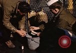 Image of penguins Antarctic Ocean, 1947, second 53 stock footage video 65675071021